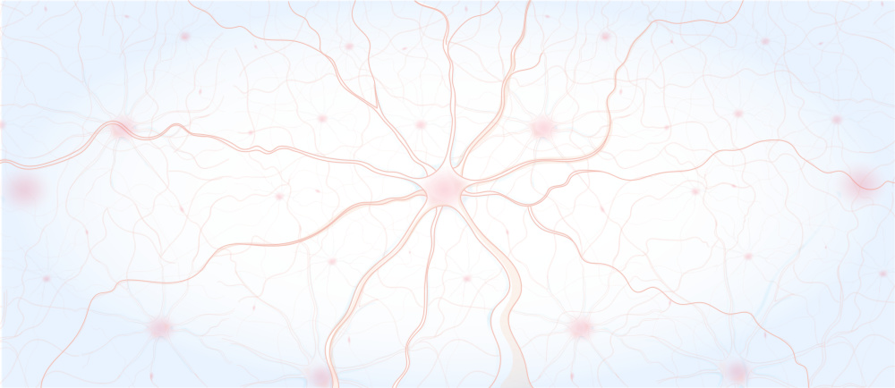 Exercise Your Way To A Better Brain