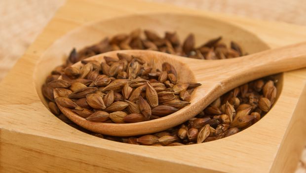 Jelai diperkaya dengan Vitamin E yang membantu dalam merawat rambut yang menipis.