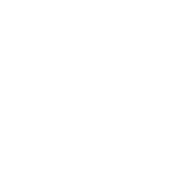 Professional branding and marketing services