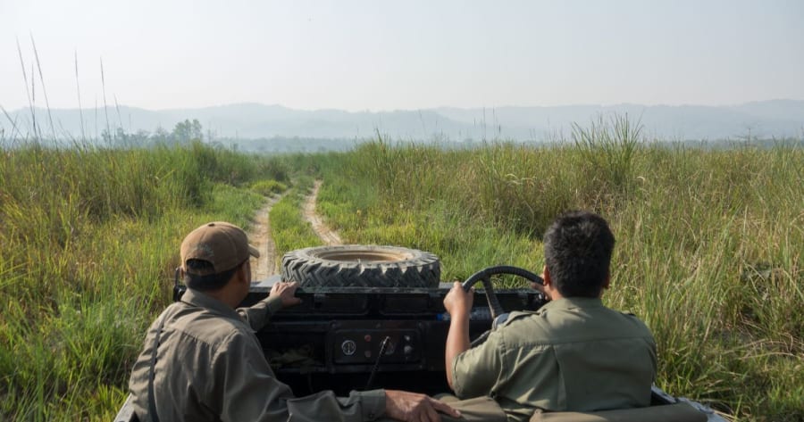 bardiya safari