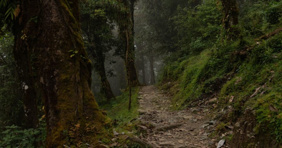 Mardi Himal Trekking Path during Monsoon