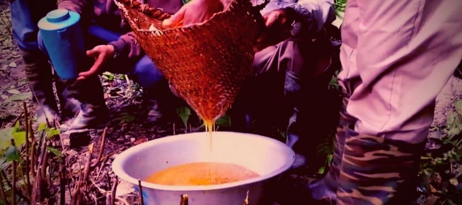 locals extracting honey