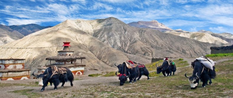 Best of Nepal Tour