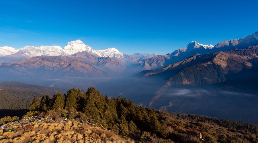 poonhill trek