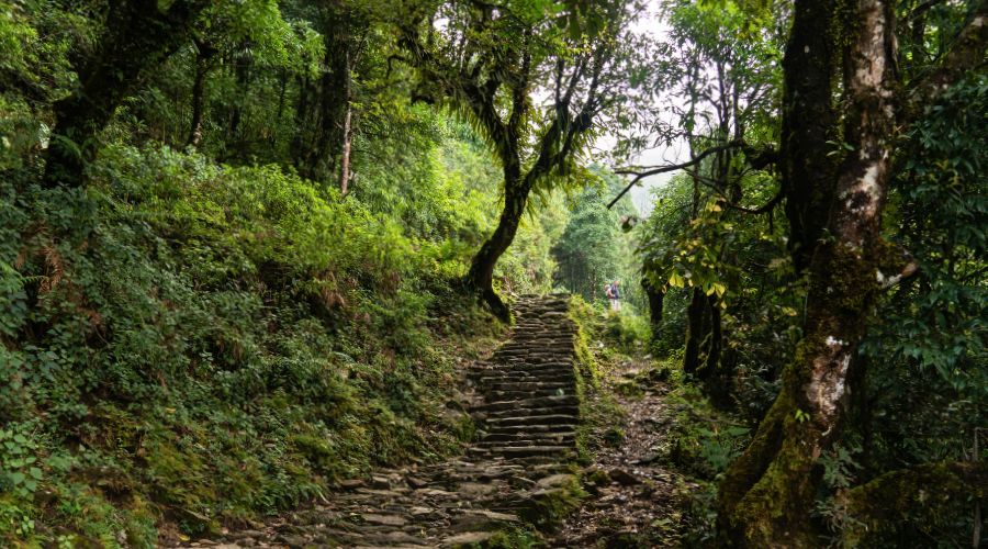 beautiful trial of trek of annapurna circuit in july