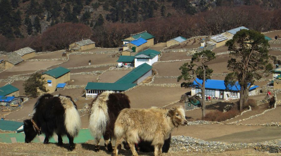 beautiful phortse village