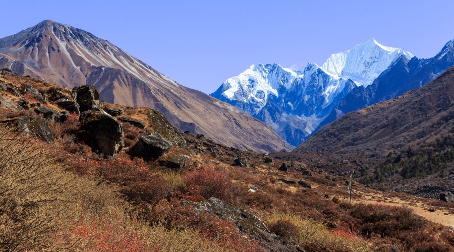 langtang valley trek