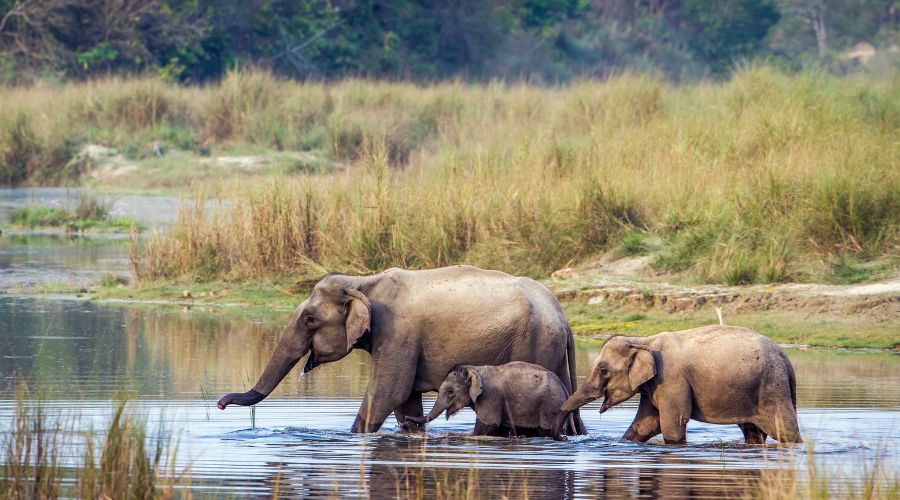 parsa national park trek