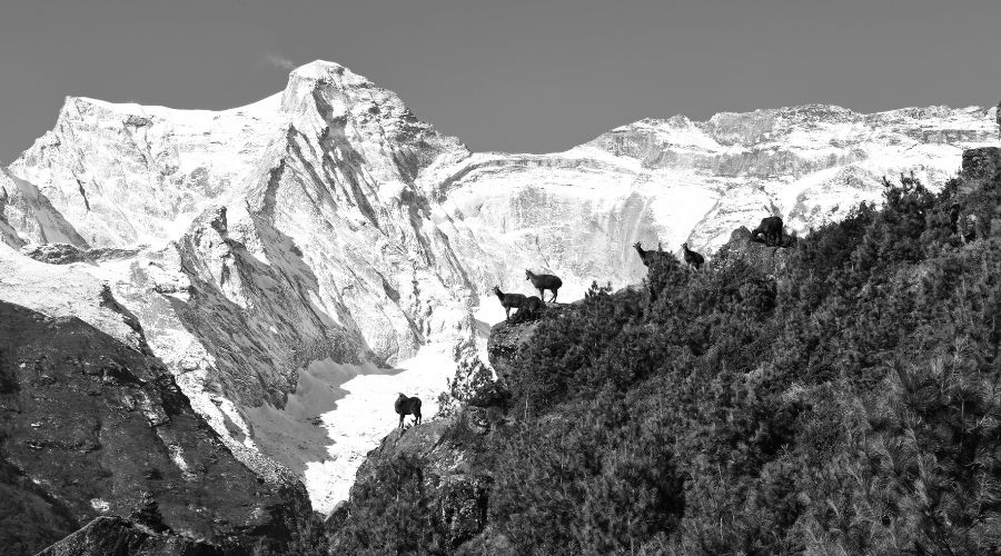 Kongde Ri view