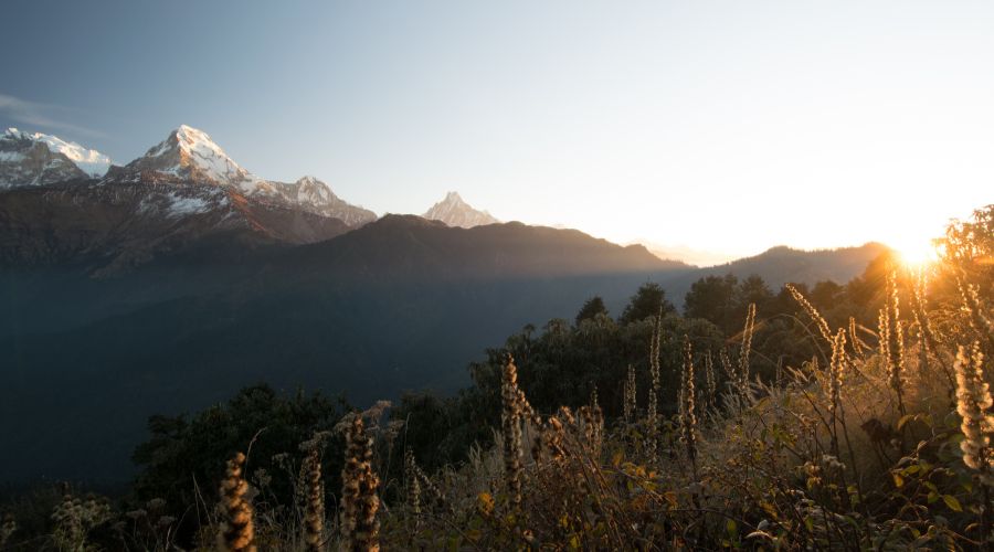 ghorepani poonhill trek