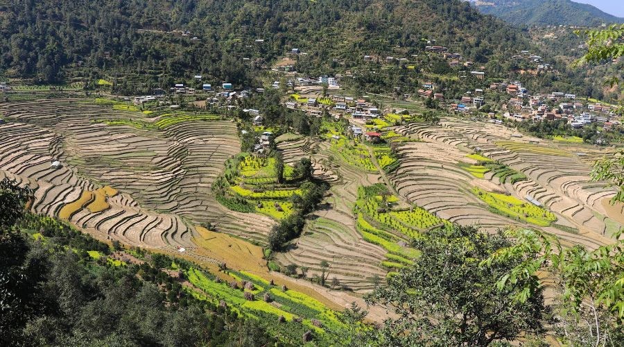balthali village hike