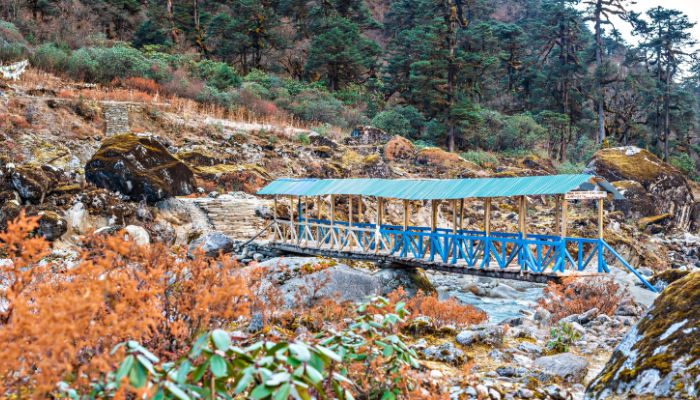 wooden bridge in route to mera peak expidition