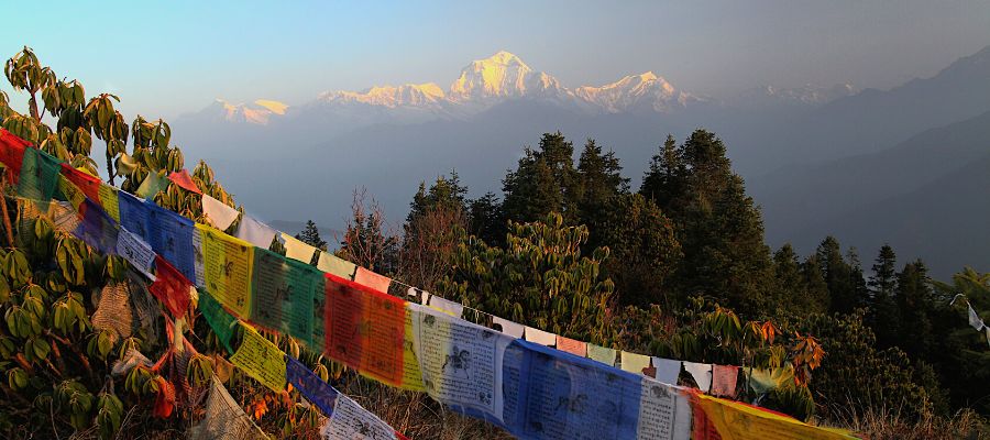 poon hill trek