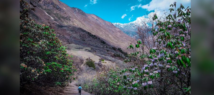 bhutan flora and fauna epic view