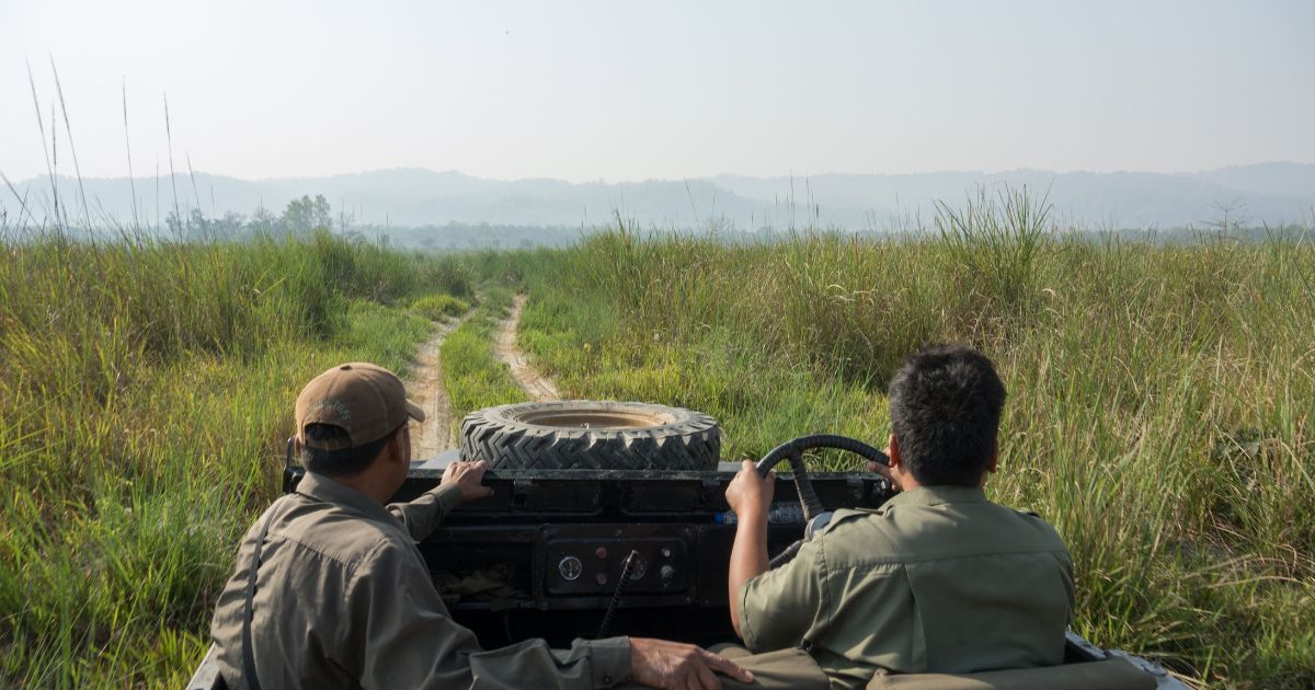 bardiya safari