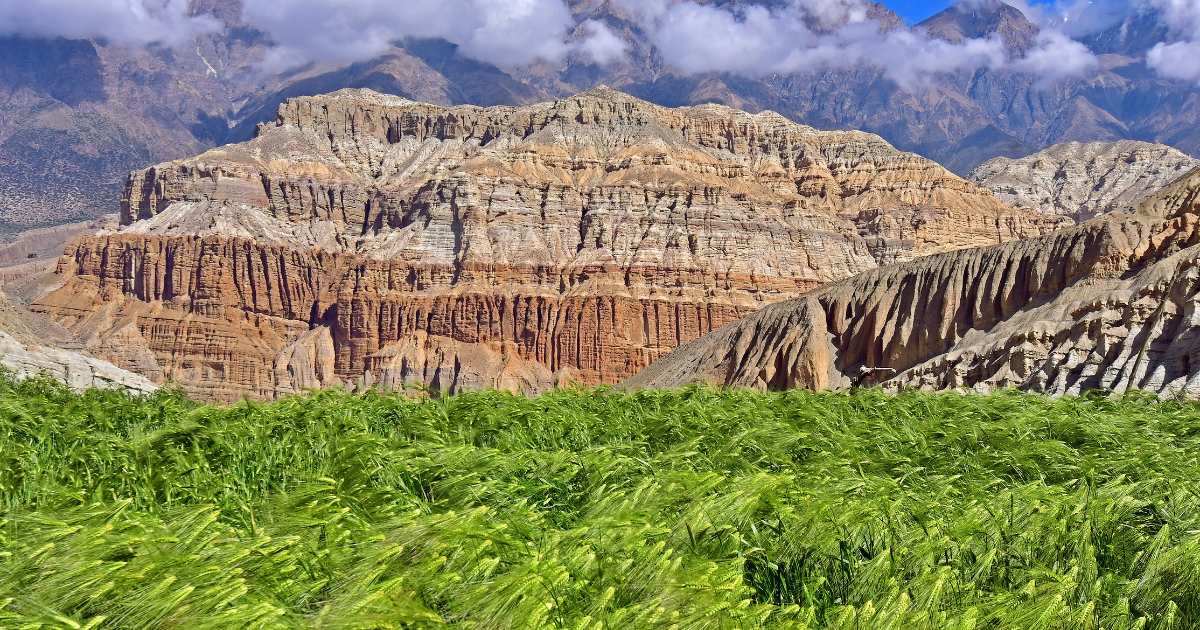 mustang valley heli tour