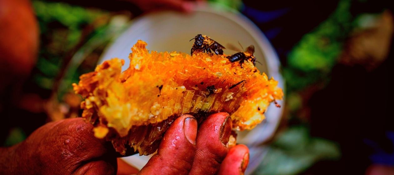 red honeycomb