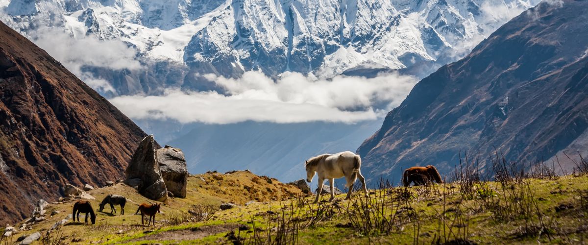 manaslu circuit couple trek