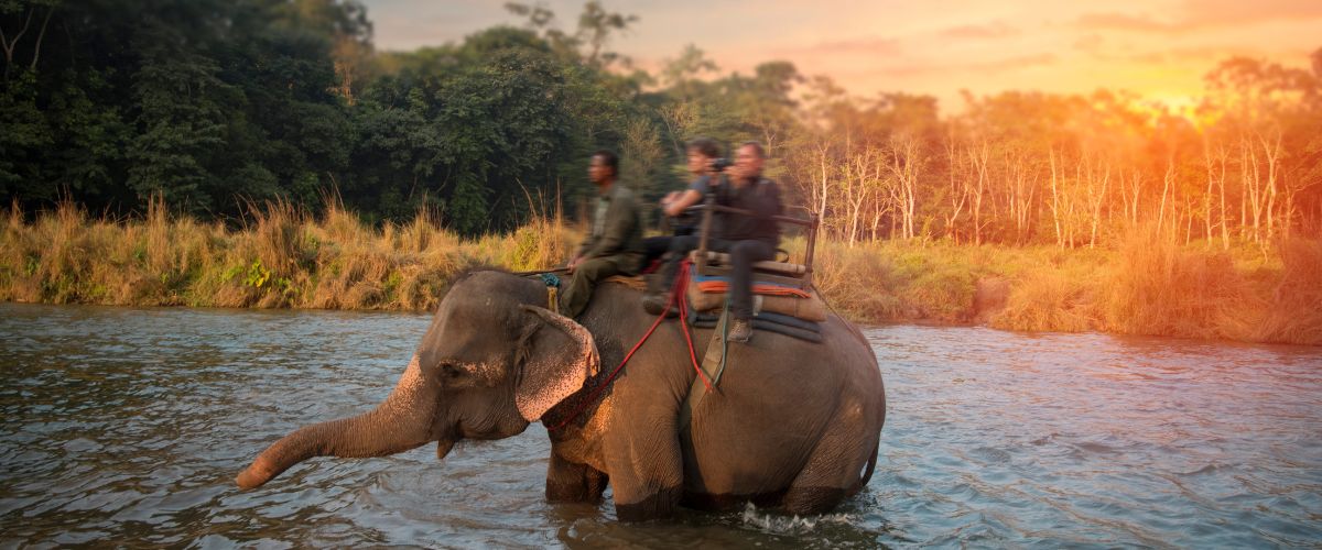 chitwan national park for honeymoon