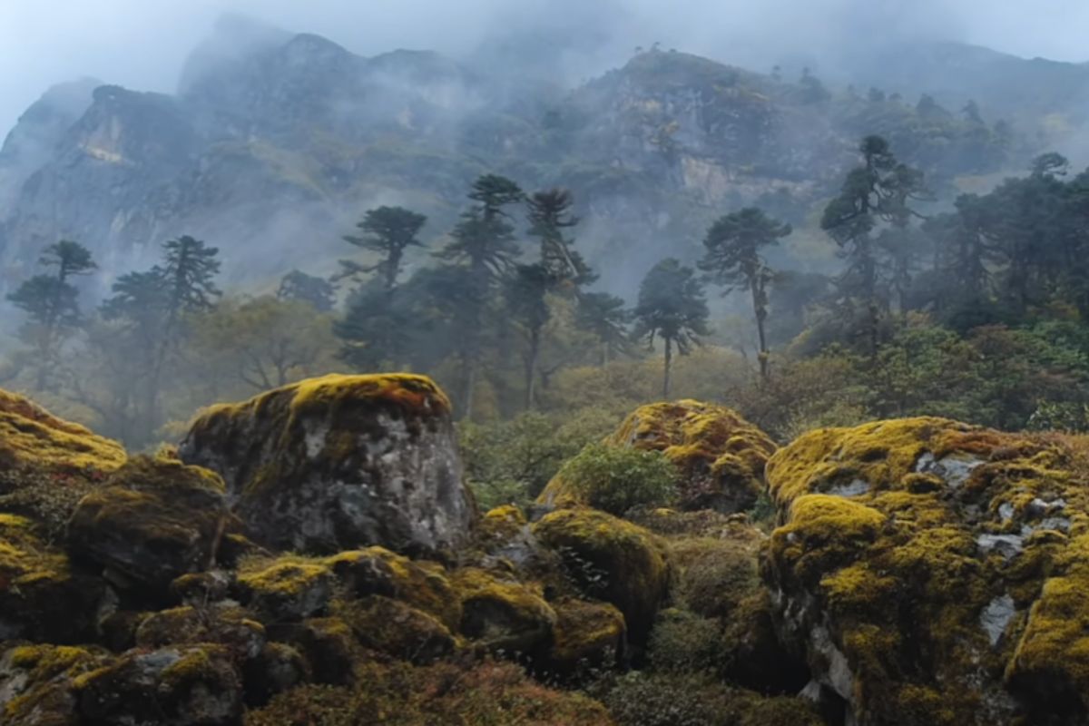 makalu barun national park view