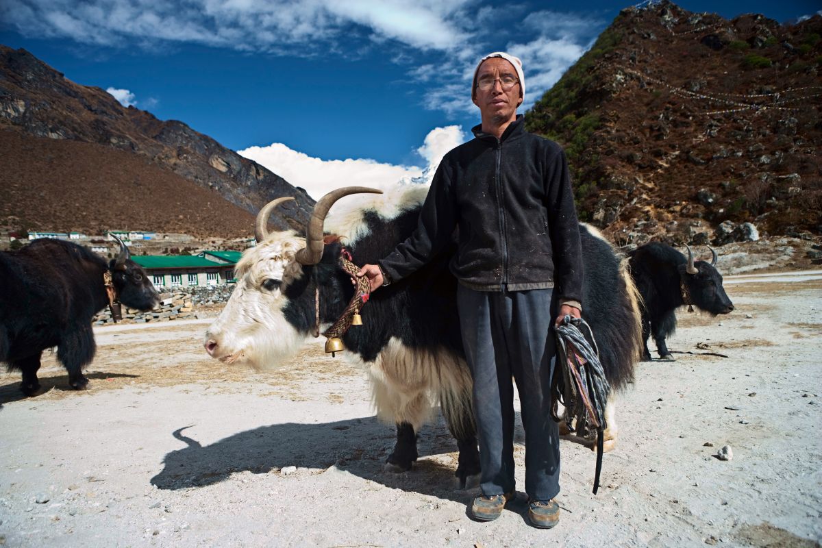 himalayan people