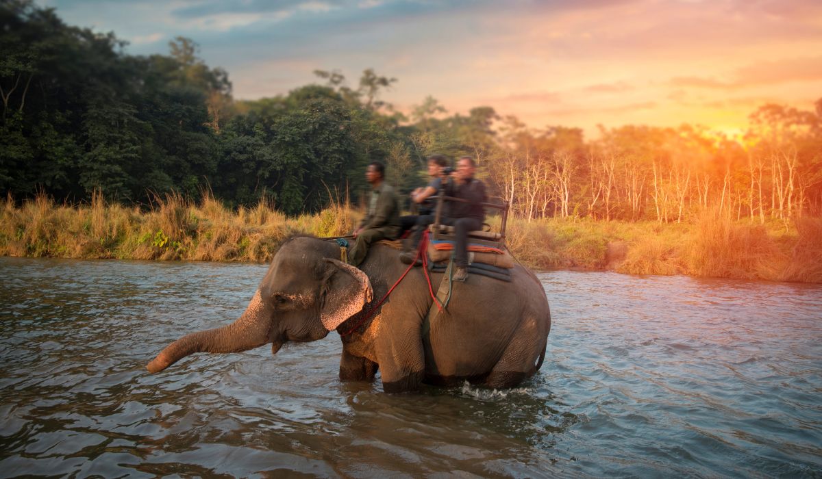 chitwan national park