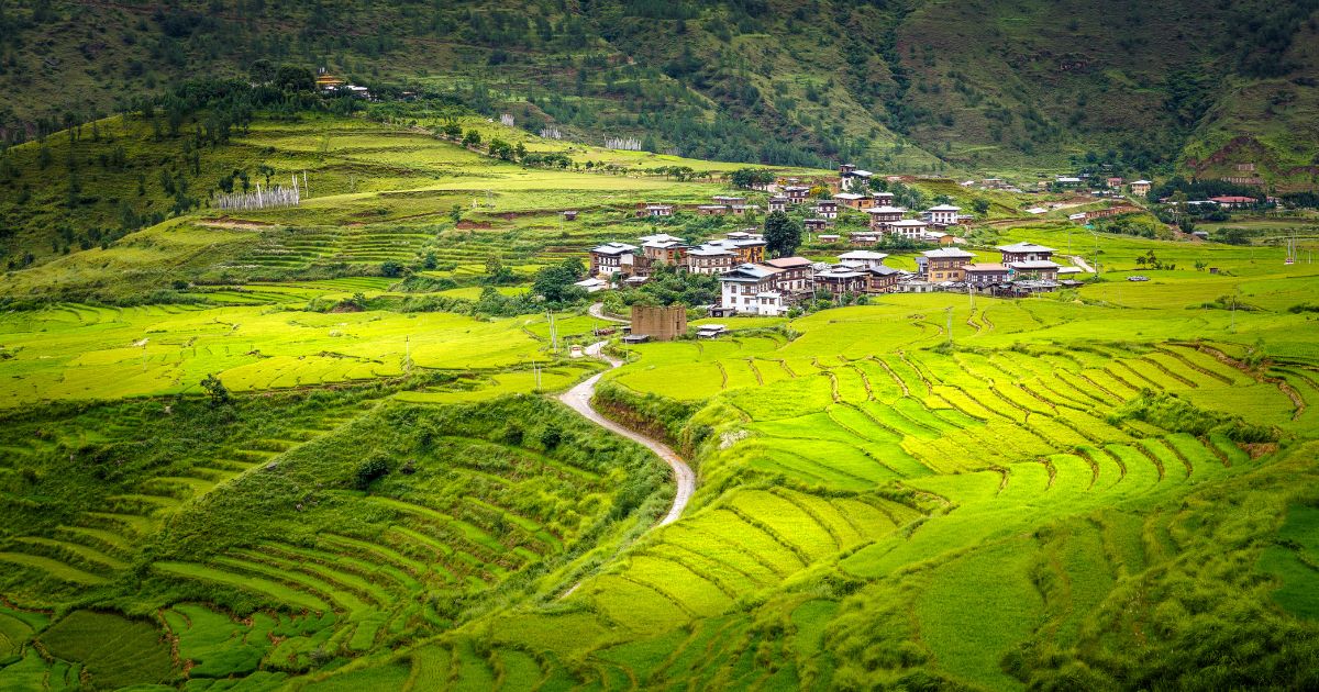 bhutan greenary