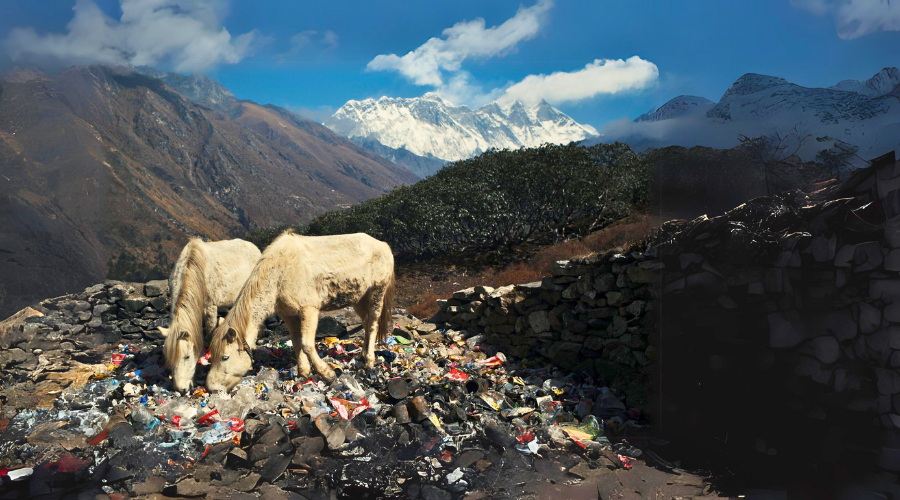 trash on everest base camp trail