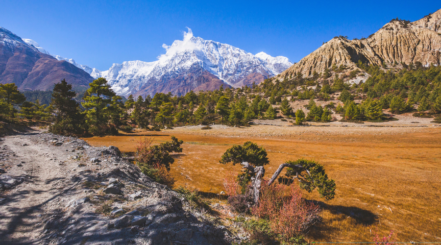 annapurna circuit trek