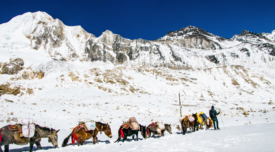 manaslu circuti trek in winter