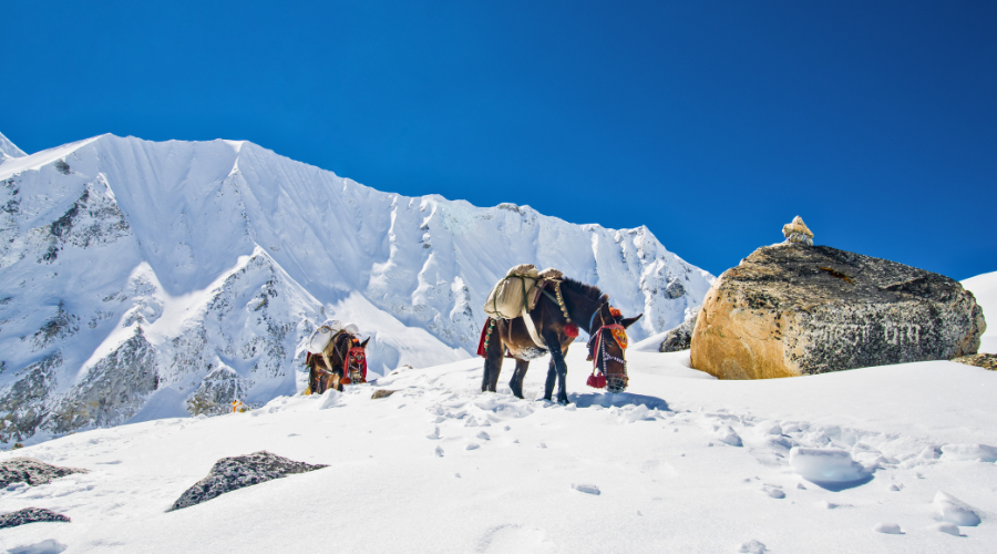 Manaslu trek in winter