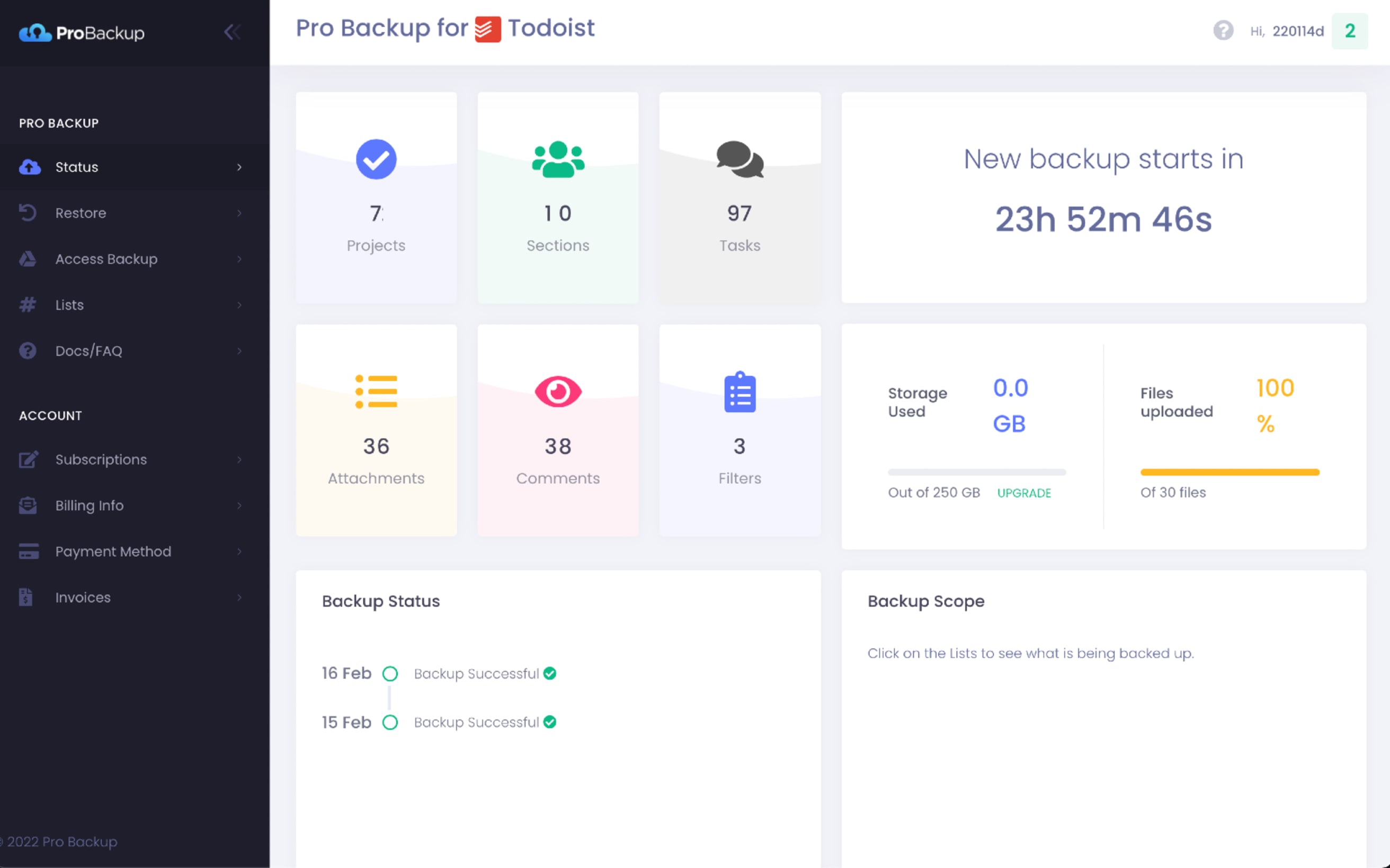 Pro Backup | Todoist