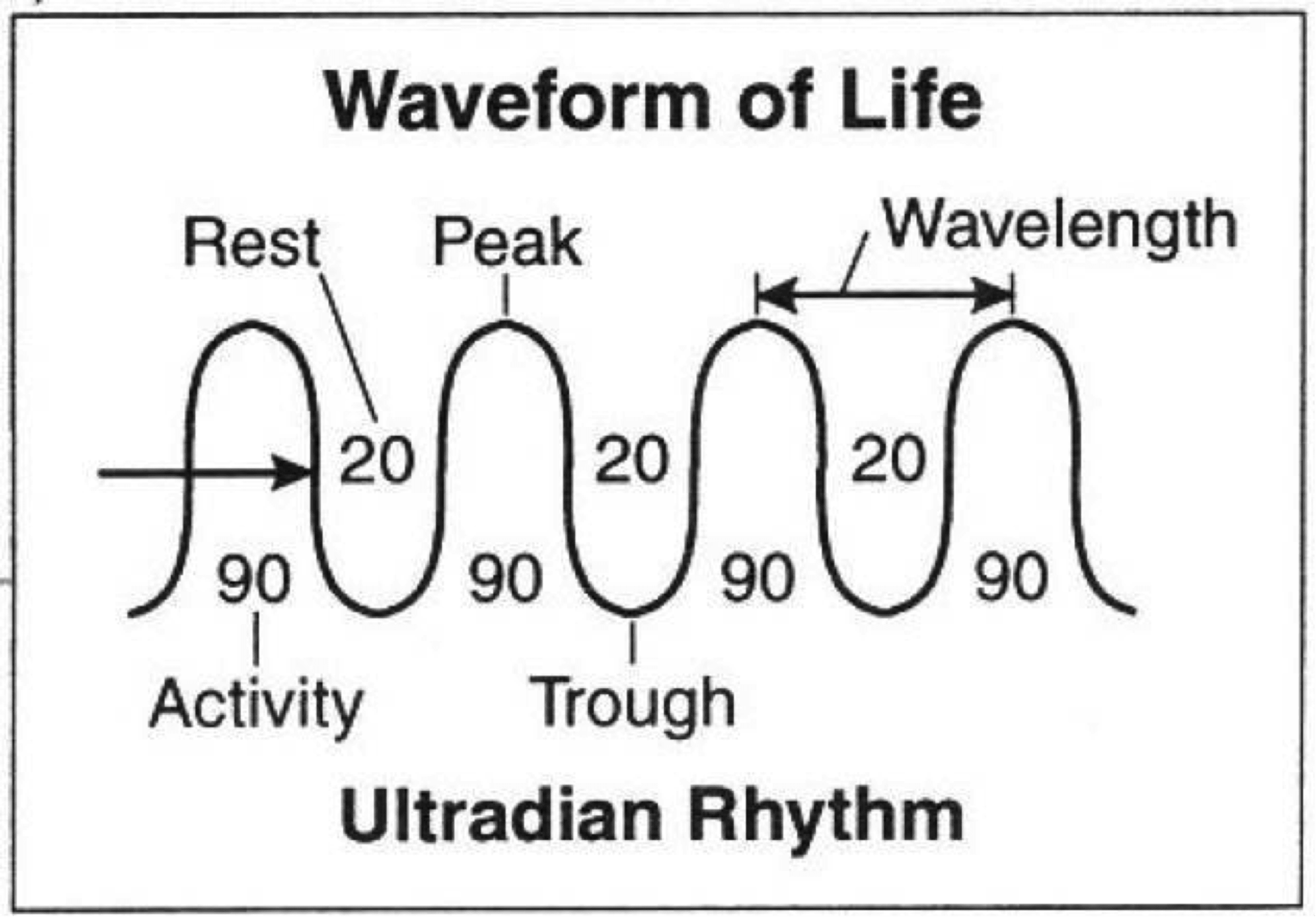 Different Fatigue Waveforms Overcoming Mental Fatigue: A Systematic Approach