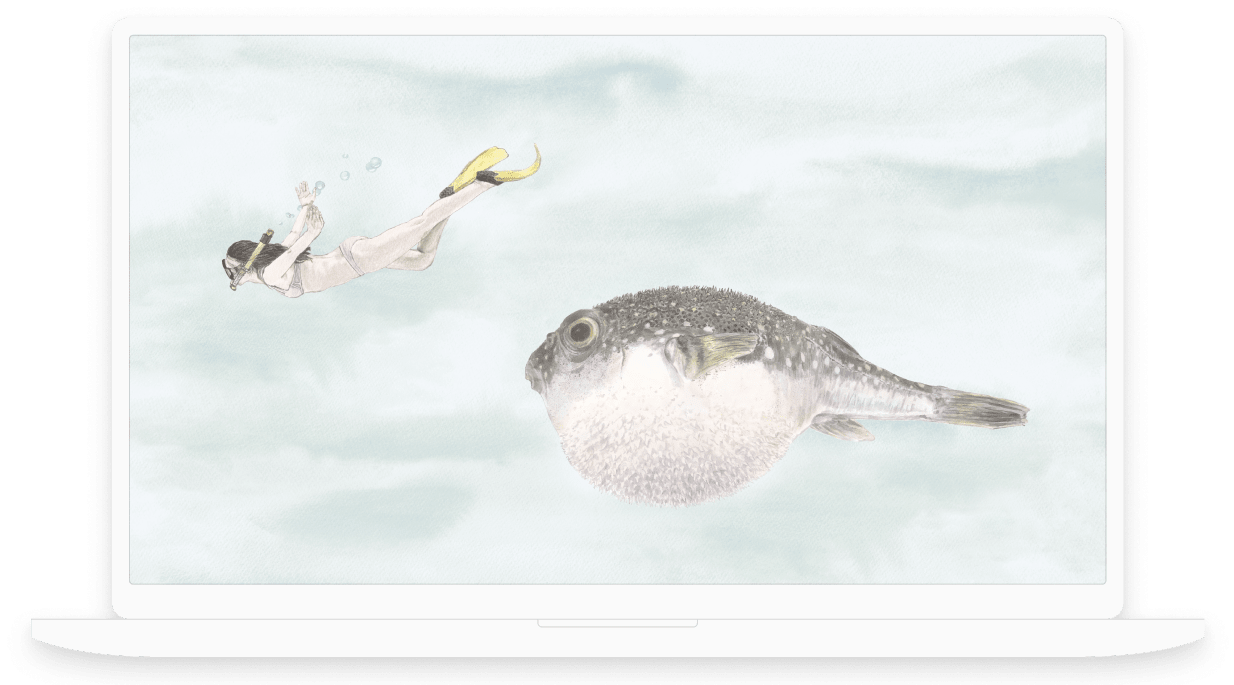 Choose from the Fish Snorkeler<a href="https://www.dropbox.com/sh/nevd0mcok63bhqt/AAAQtcxk9jffl8sIjL33zpVda?dl=0"> wallpaper</a> design and several others for your desktop or smartphone.