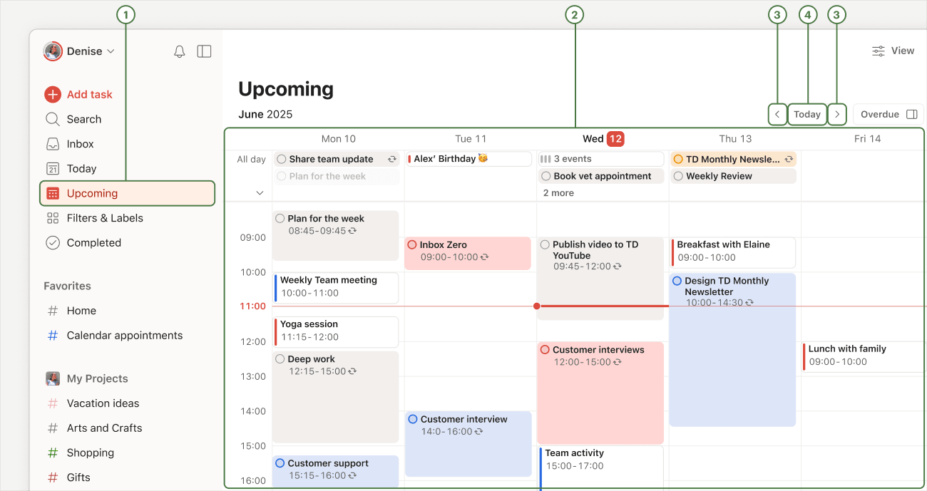 Upcoming View Anatomy.png