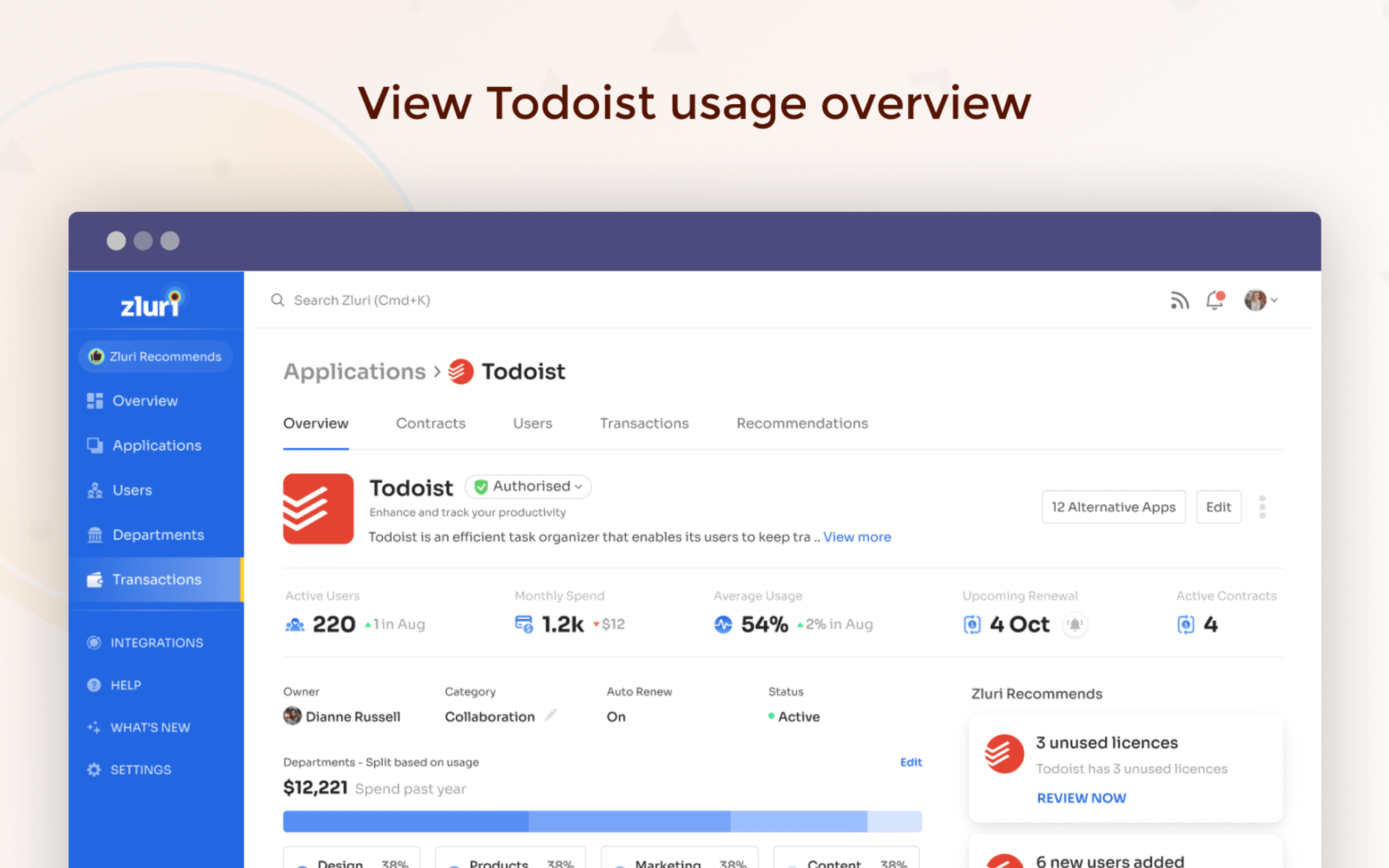 Ver visão geral do uso do Todoist