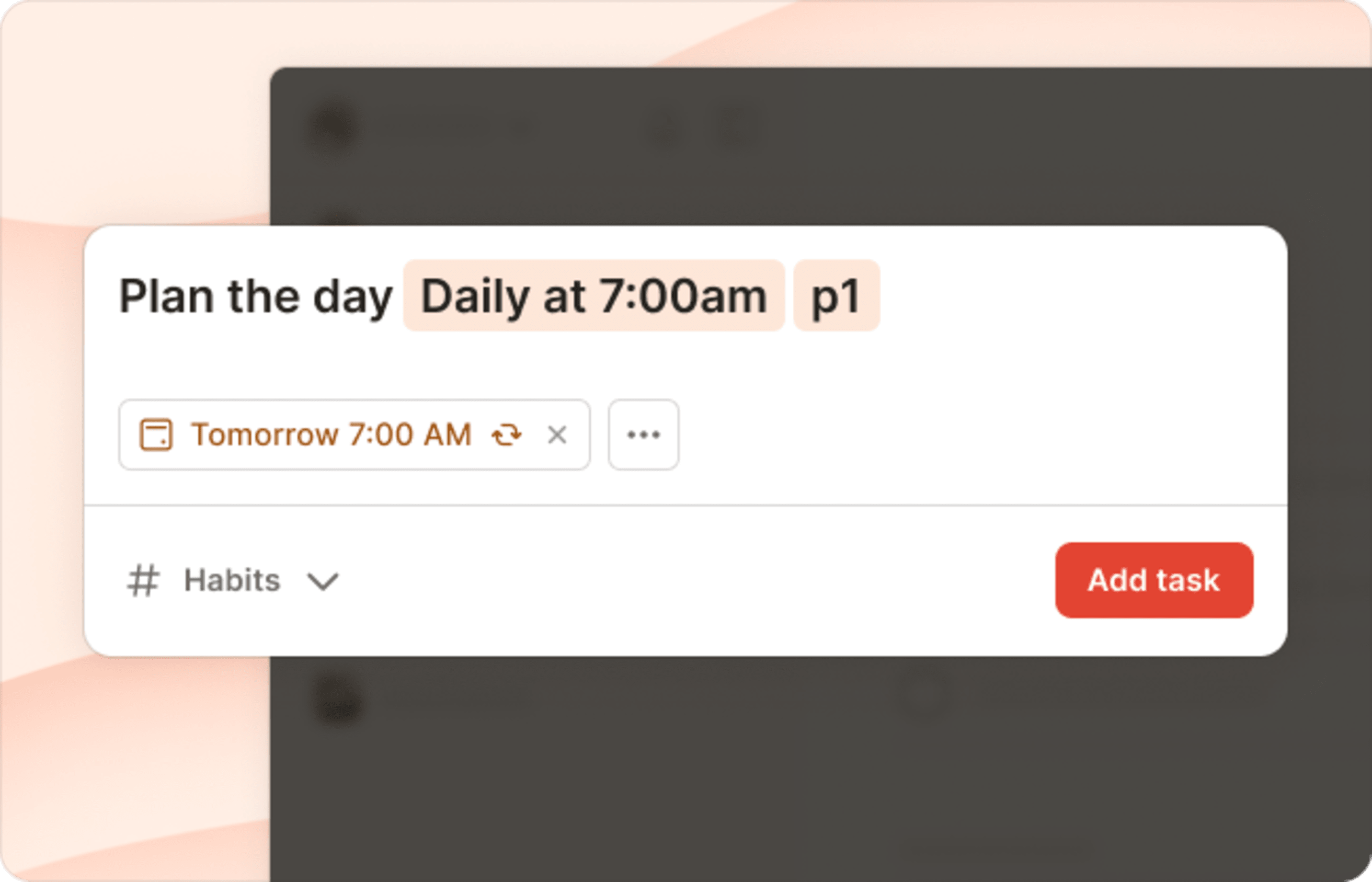 daily schedule essay