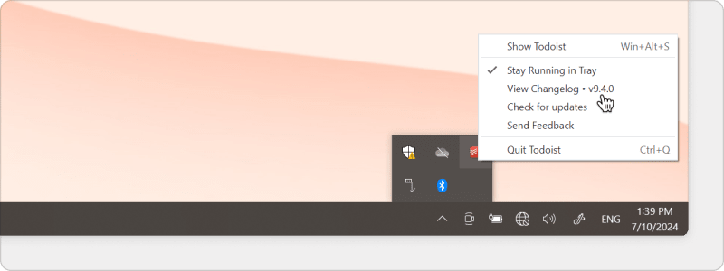 app-version-check-windows2.png