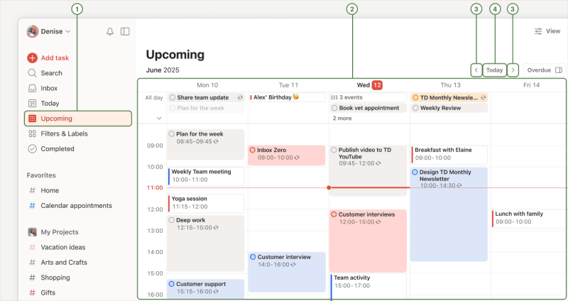 Upcoming View Anatomy.png