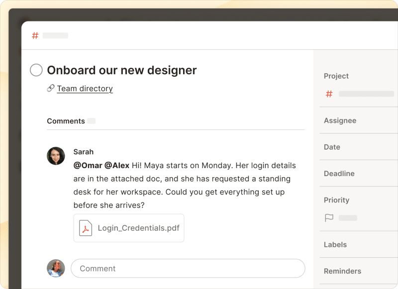 Task comments in Todoist