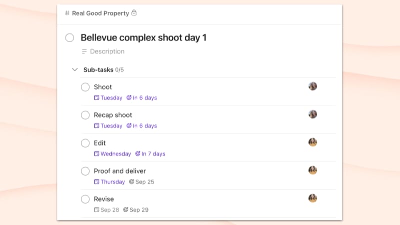 Photoshoot task with subtasks
