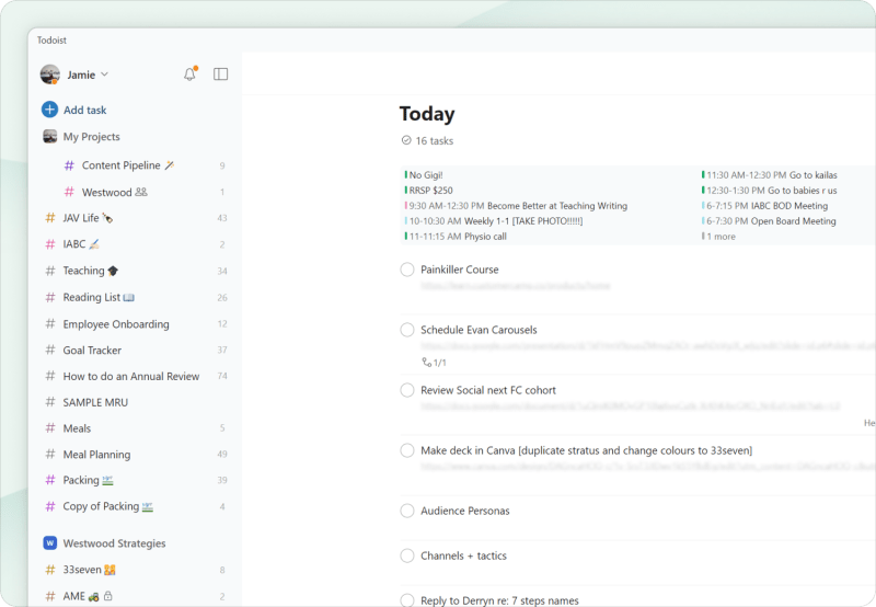 Everything in Todoist