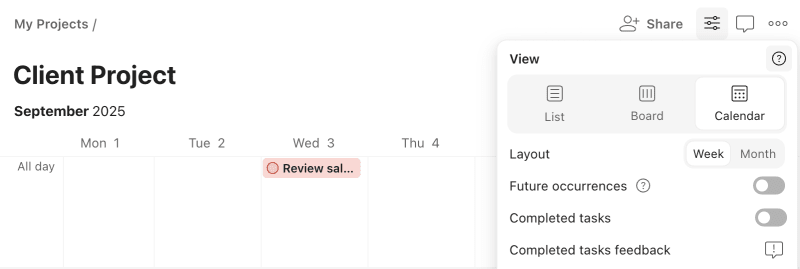 Todoist project view
