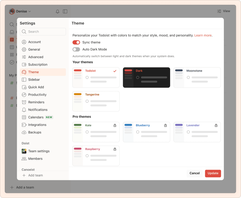 guide-to-todoist-pro_image-3