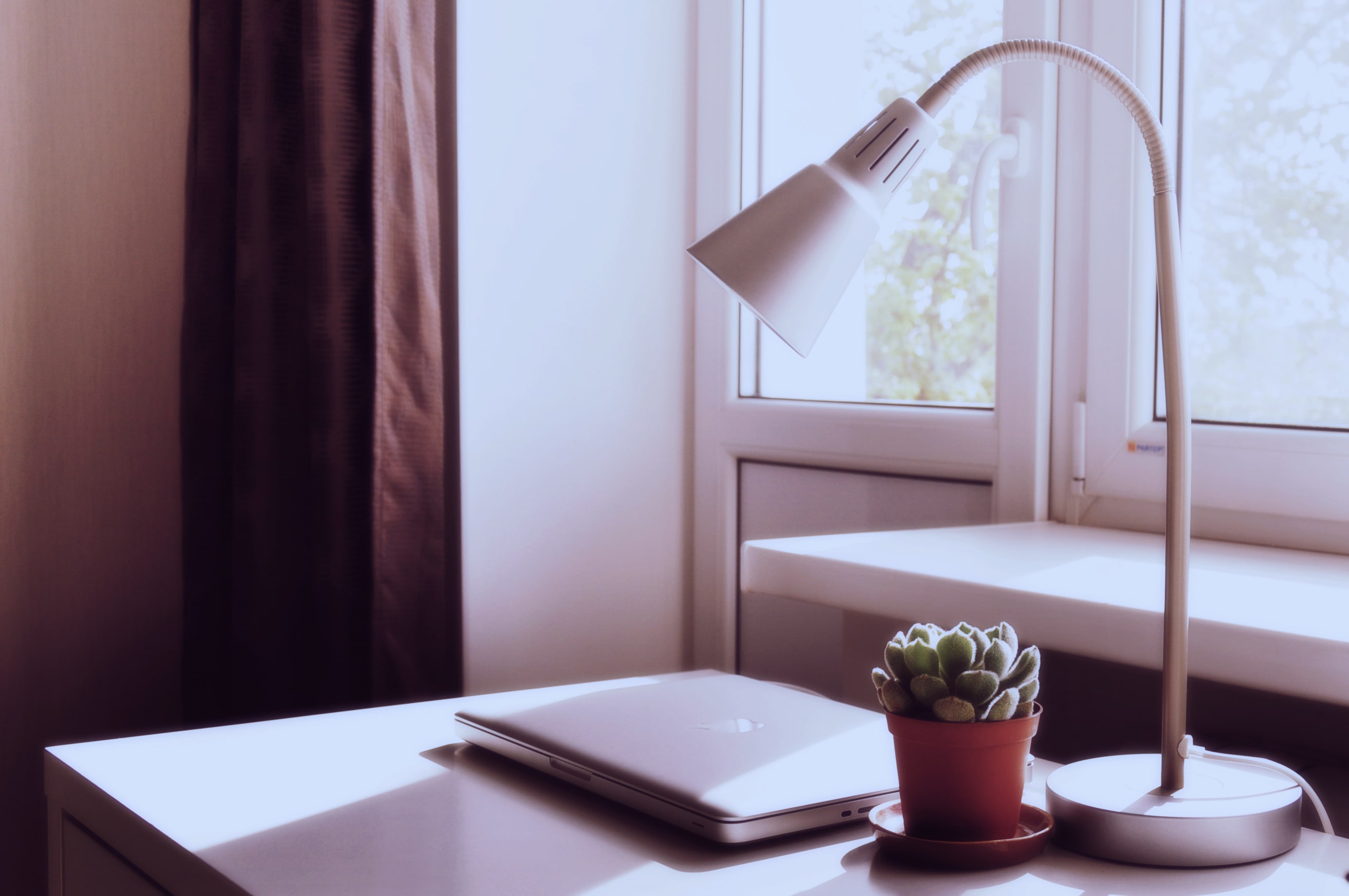 8 Essentials to Boost Home Office Productivity – RenoHood