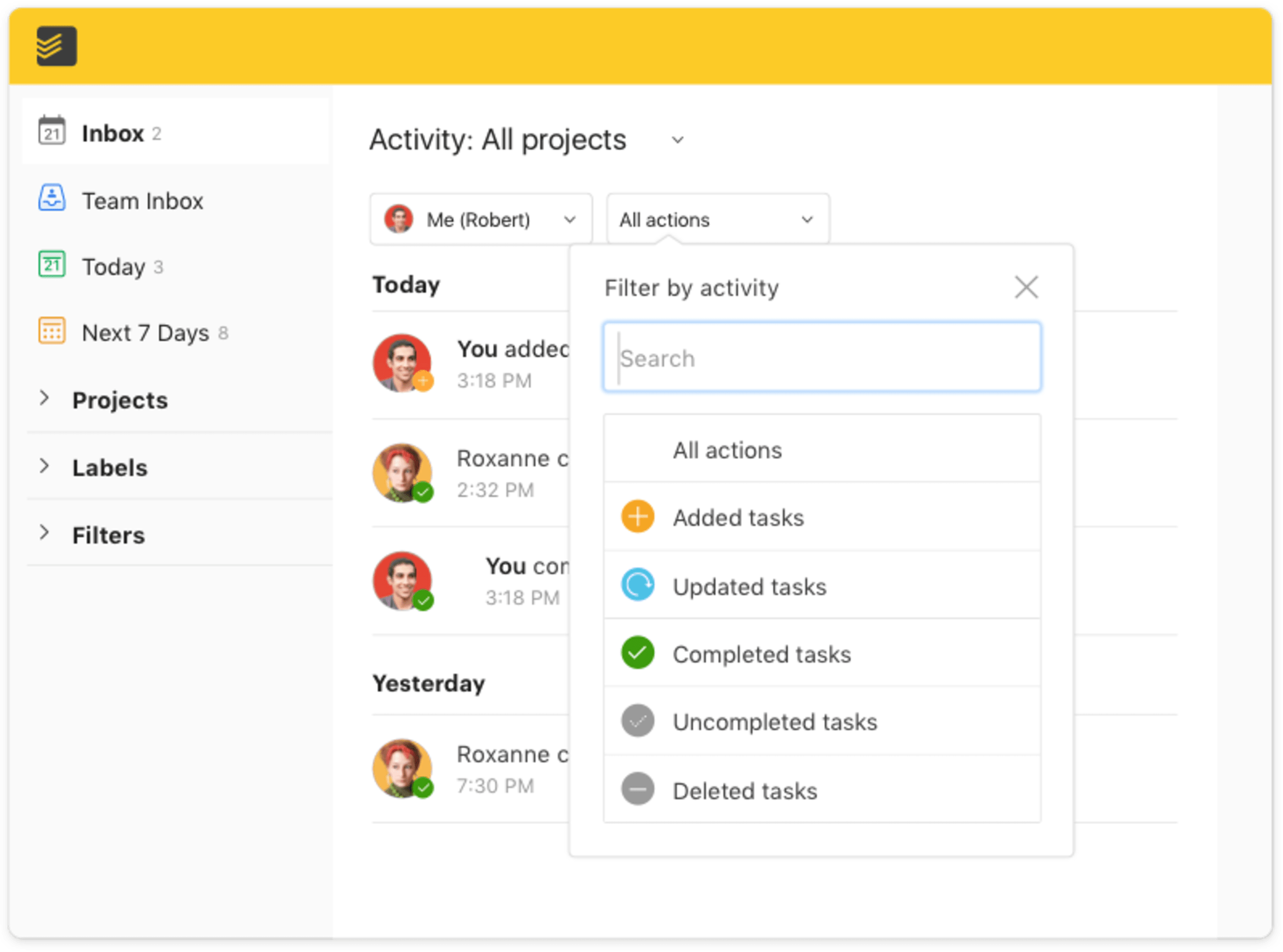 todoist pro feature activity log user interface
