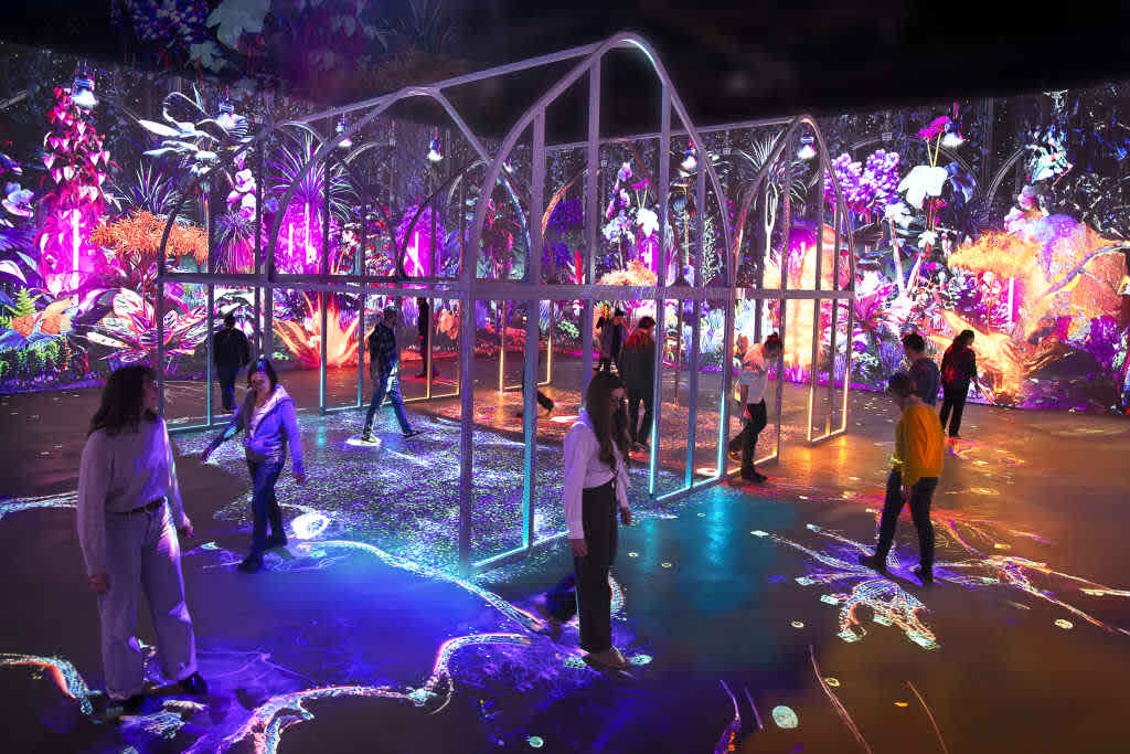 Creating a botanical universe using projection mapping at Futuroscope