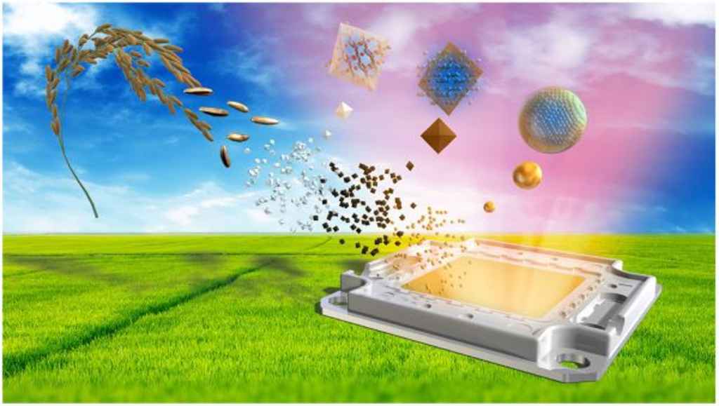 Researchers create LED lights from rice husks