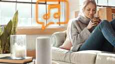 Two in three households in Germany use voice control