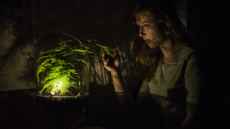 Nova Innova powers smart lighting with plants in leap for ‘household appliances’